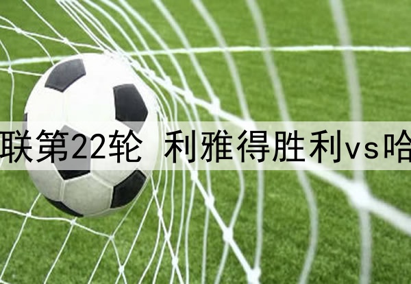 德雷森：图赫尔离任决定是友好分手